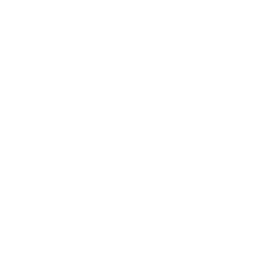 REMAX GO