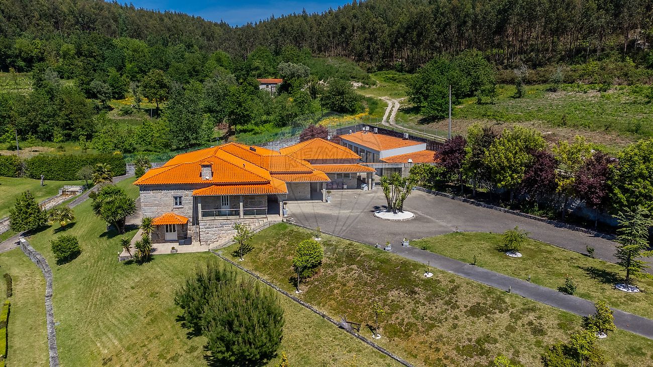 Quinta