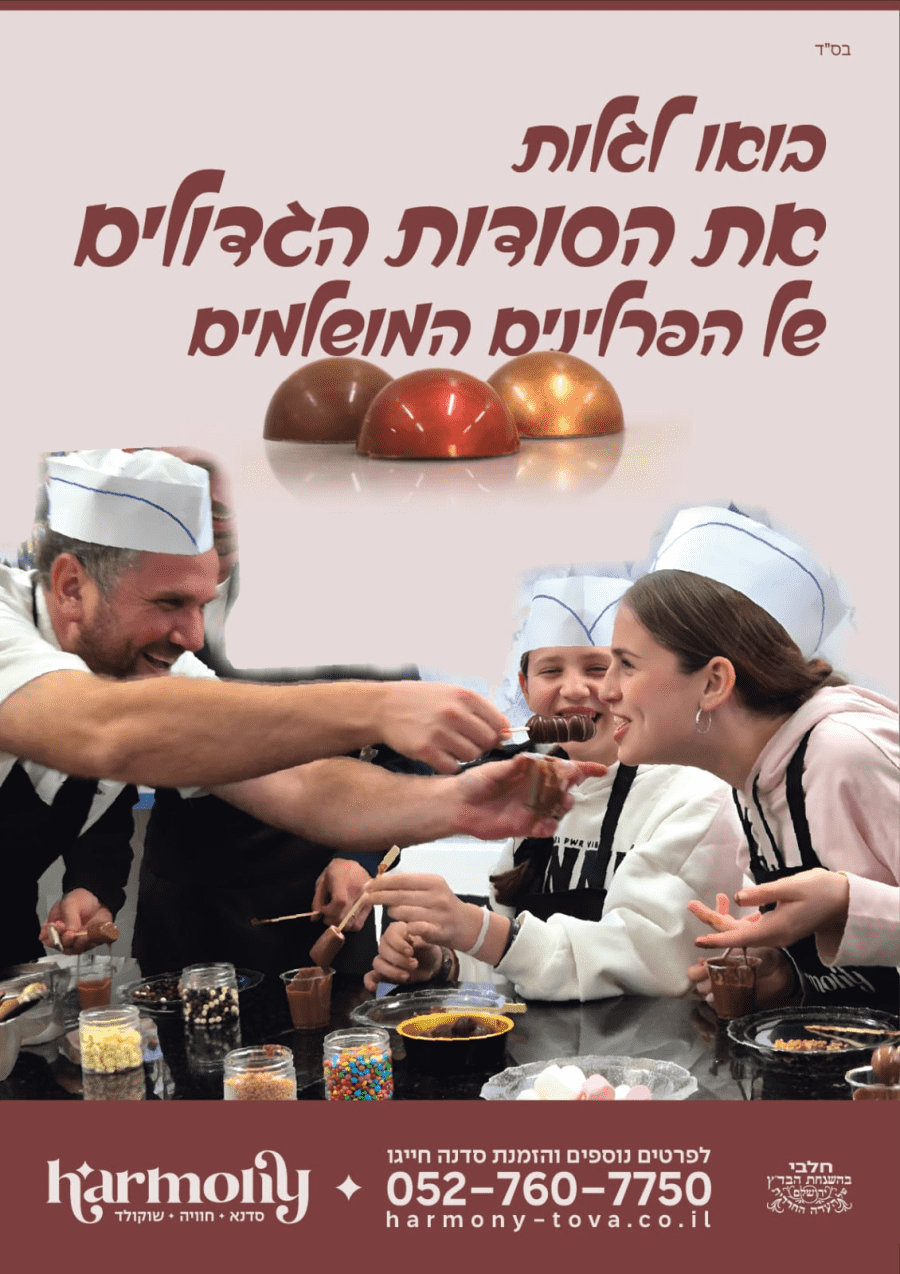 הרמוני שוקולד ופרלינים - תמונה
