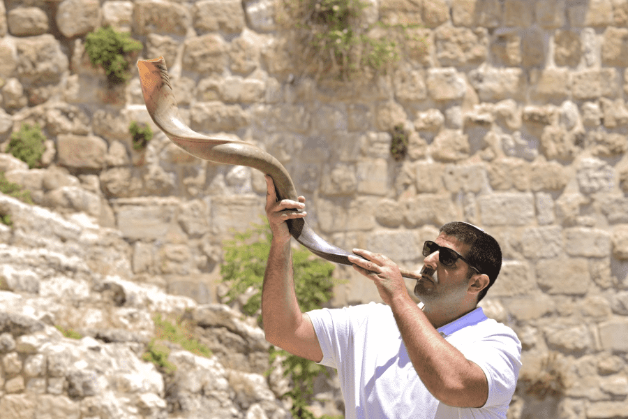 מזוזיקה - תמונה