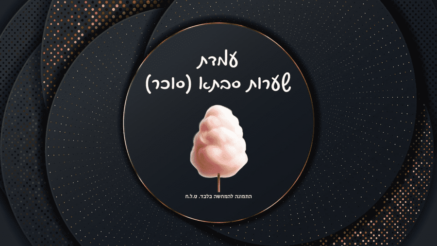 קואלה דוכני מזון  - תמונה