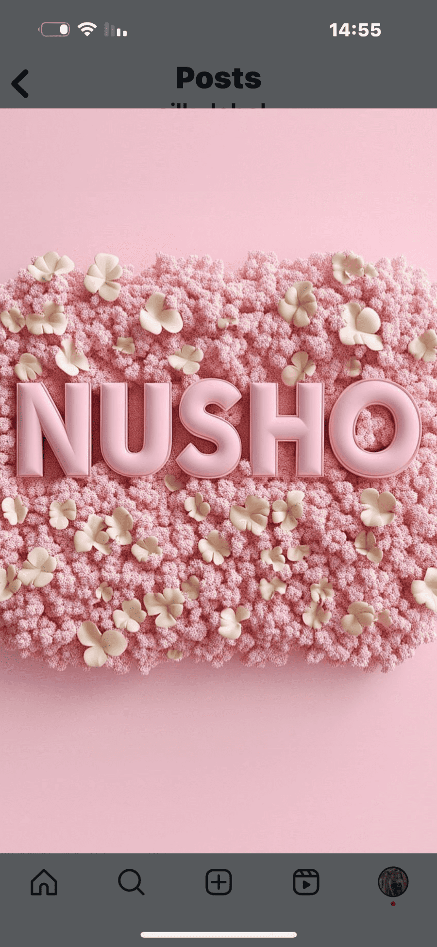 Nusho - תמונה