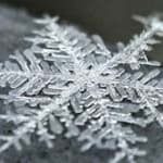 fiocco di neve