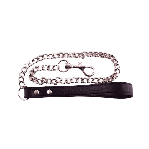 leather lead with chain