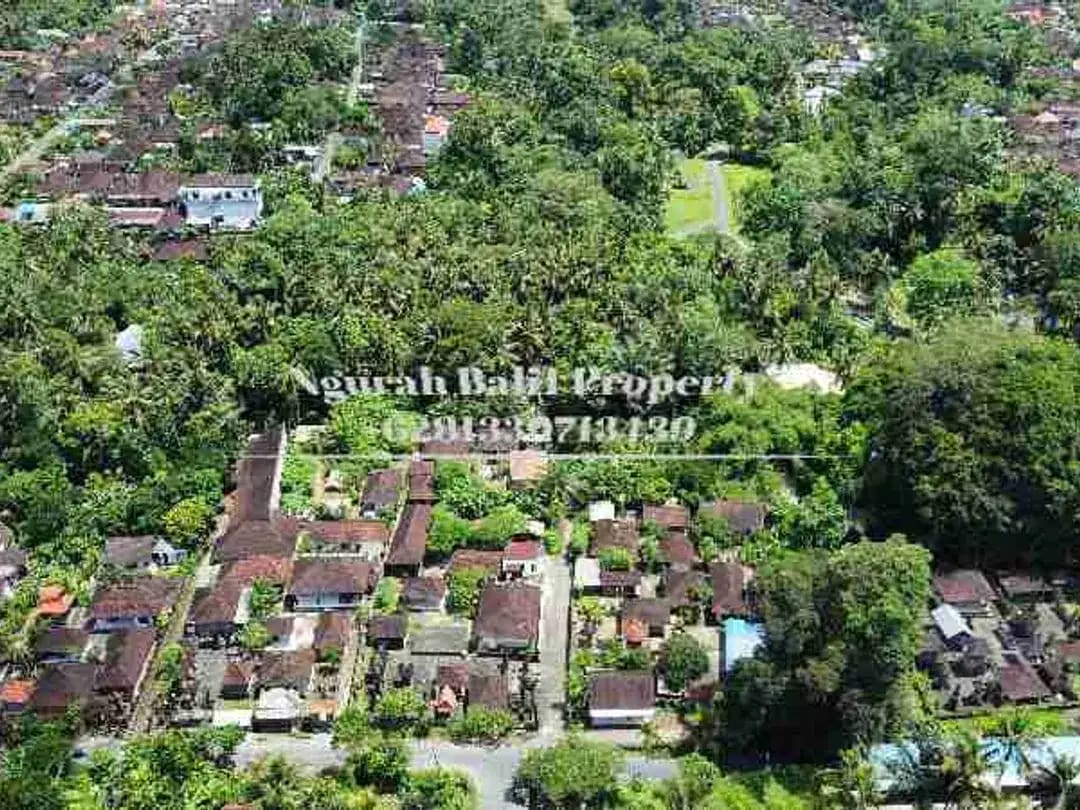 BUC Murah Disewakan Tanah Luas 30,70 Are View Kebun Kawasan Villa di Ubud - Image 1 of 6