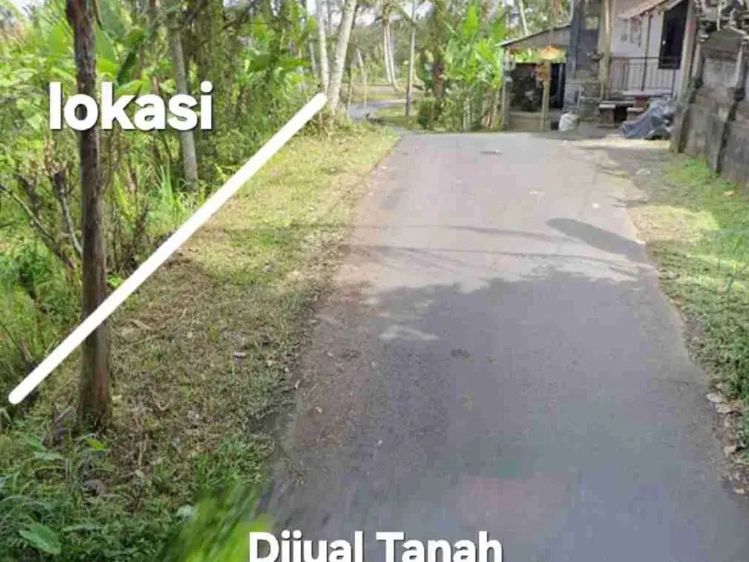 Jual Tanah kebun 33,6are jalan 8 aspal di Payangan Gianyar Ubud Bali - Image 1 of 10