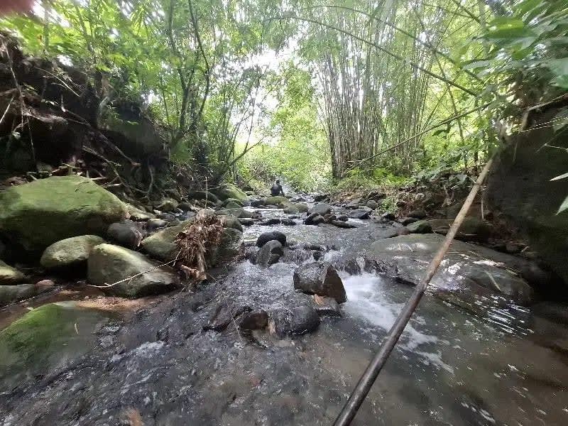 Dijual tanah los sungai dan view sawah di tabanan bali - Image 1 of 10