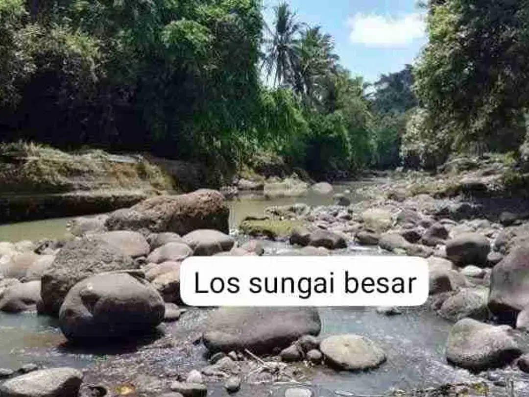 jual tanah los sungai  lok di kerambitan.12,20 are harga 150/ are ngoo - Image 1 of 6