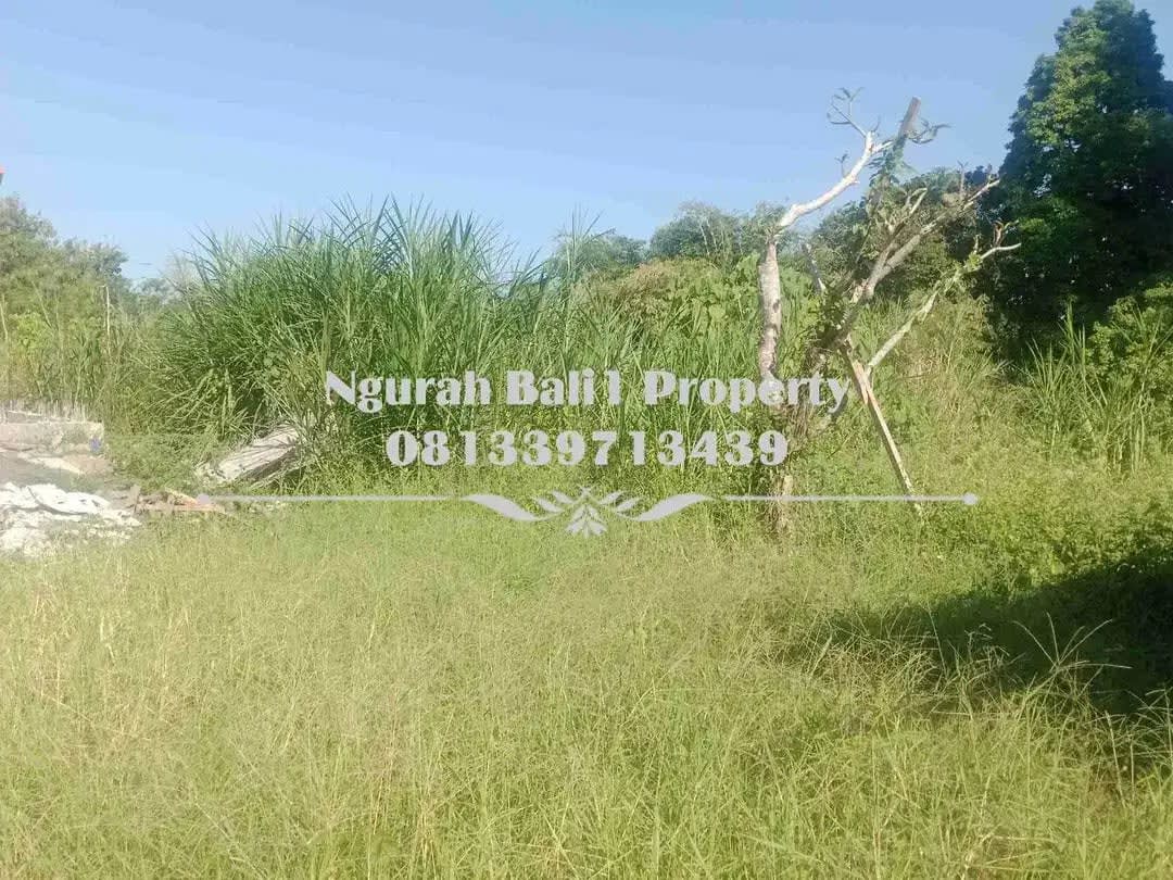 Tanah Dijual Murah Luas 2 Are Kawasan Villa di Ubud - Image 1 of 1