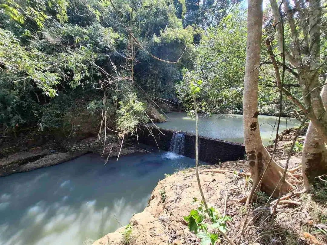Dijual tanah kebun murah dengan sungau bebatuan murah di tabanan bali - Image 1 of 10