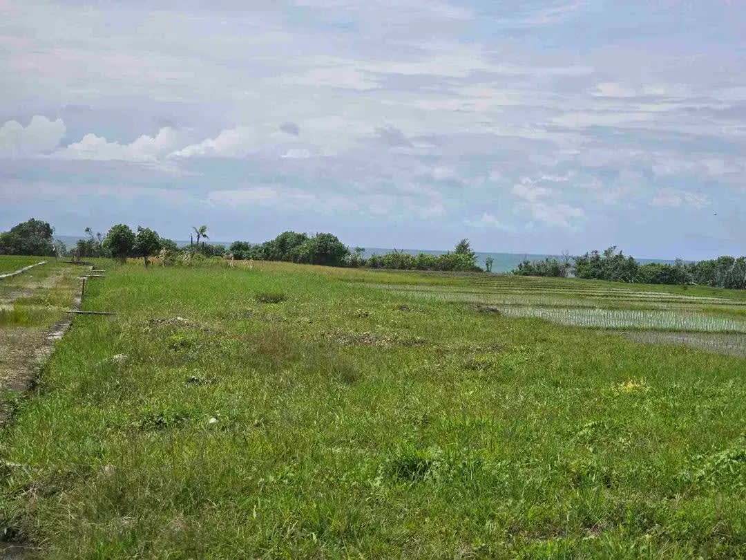dijual tanah kecil view laut sawah di pantai pasut tabanan bali - Image 1 of 10