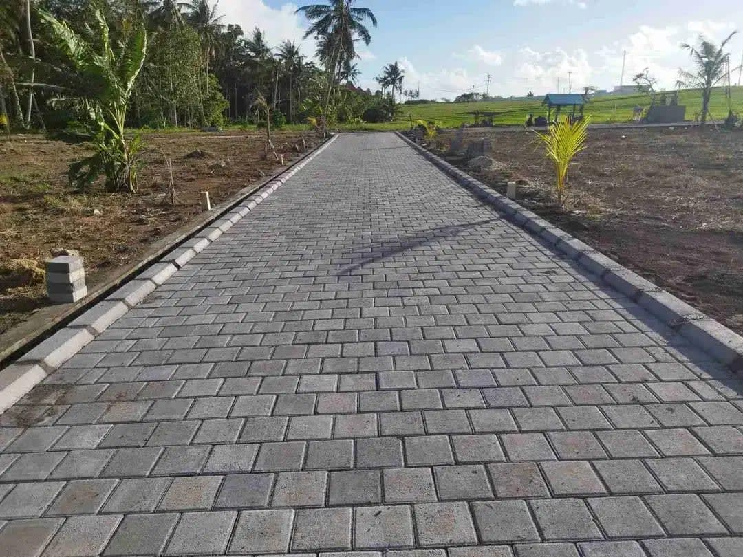 Tanah Kav Premium Dkt Pantai Villa Barbar Selemadeg Itr Ping Jl5mtr - Image 1 of 9