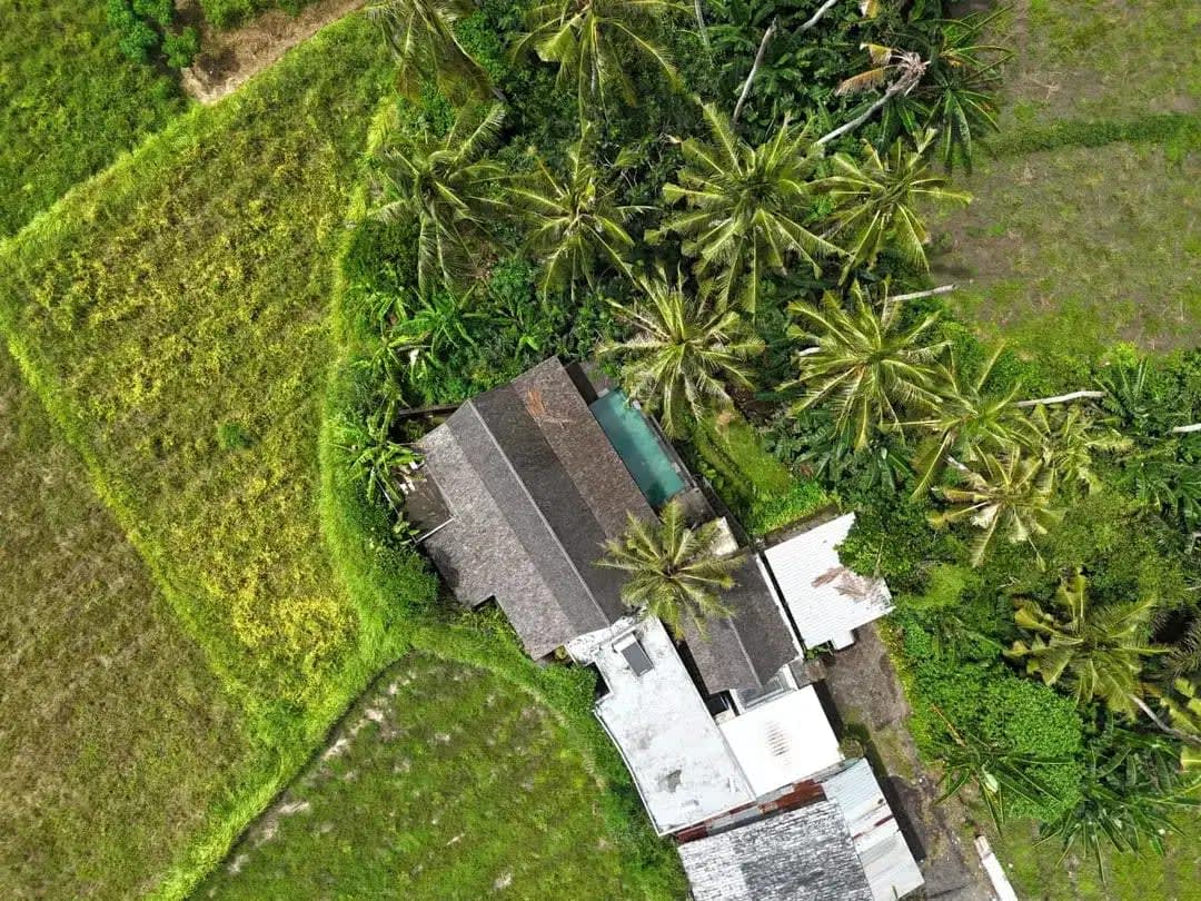 JUAL VILLA TEPI SAWAH GIANYAR - Image 1 of 7