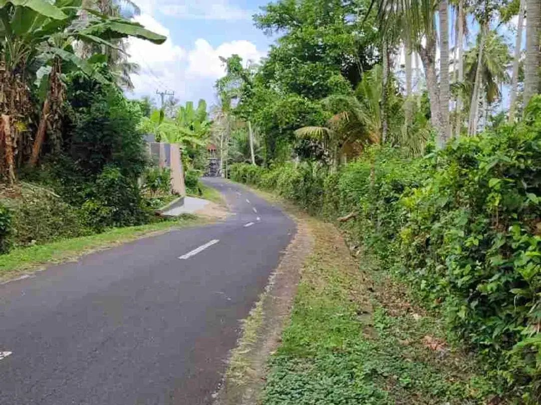 jual tanah murah ,di tabanan.pinggir jln aspal .luas 8500m2 (85 are). harga 50 jt/ are/100m2 - Image 1 of 7