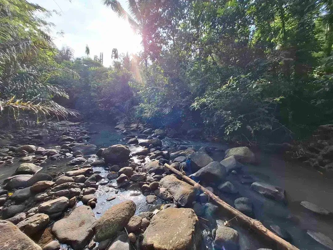 dijual tanah kebun murah los sungai jernih dengan view sawah dan gunung di tabanan bali - Image 1 of 10