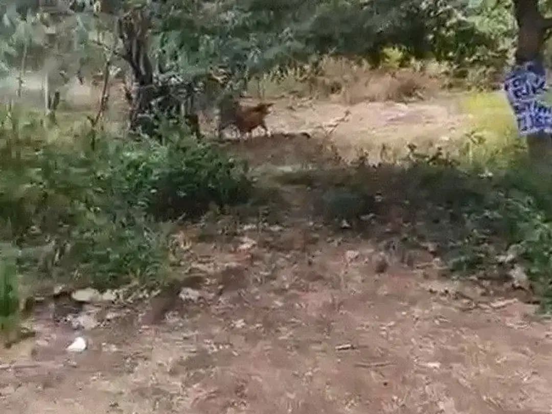 Tanah Kosong di Dekat Jalan Gunung Payung Kutuh - Image 1 of 10