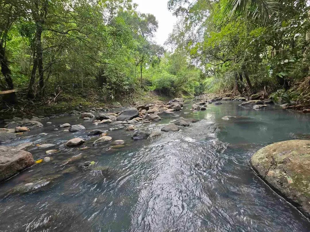 Dijual tanah langsung dengan sungai bebatuan di tabanan bali - Image 1 of 10