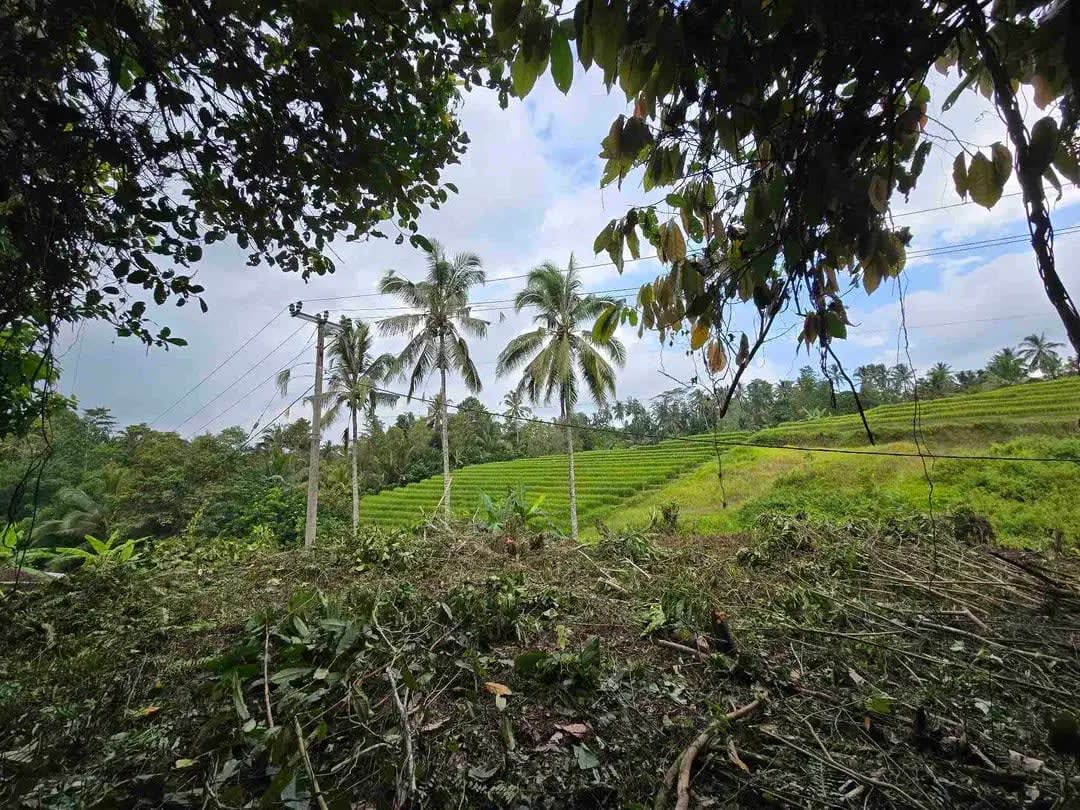 Dijual tanah murah los sungai view sawah terasering dan gunung di bali - Image 1 of 10