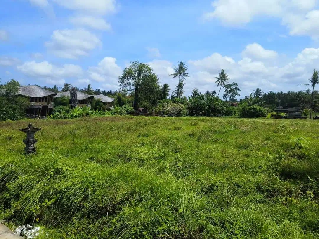 Tanah 870m2 Lingkungan Villa Mewah di Kemenuh Ubud Gianyar - Image 1 of 8