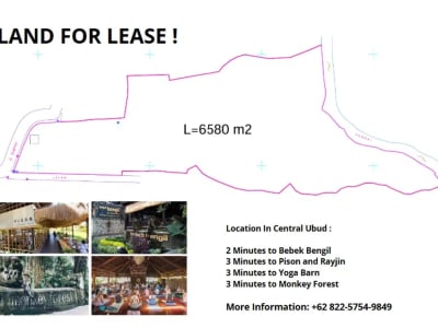 Land For Lease In Central Ubud - Thumbnail 7