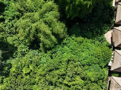 Land For Lease In Central Ubud - Thumbnail 3