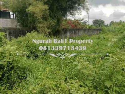 Disewakan Tanah Premium Pinggir Jalan Utama Luas 7 Are Cocok Peruntukan  Usaha - Thumbnail 4