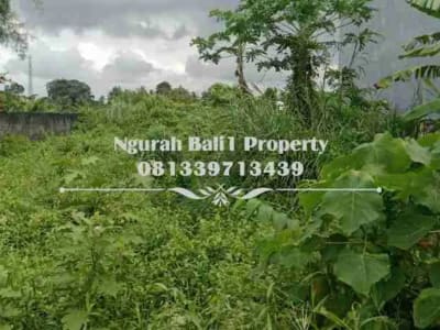 Disewakan Tanah Premium Pinggir Jalan Utama Luas 7 Are Cocok Peruntukan  Usaha - Thumbnail 2