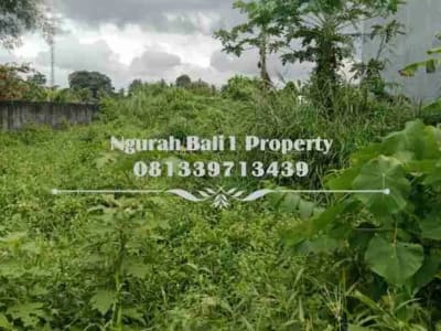 Disewakan Tanah Premium Pinggir Jalan Utama Luas 7 Are Cocok Peruntukan  Usaha - Thumbnail 3