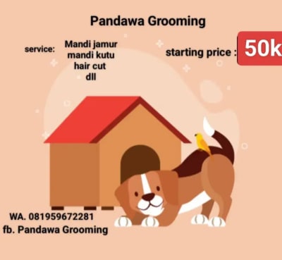 Jasa mandi anjing panggilan - Thumbnail 1