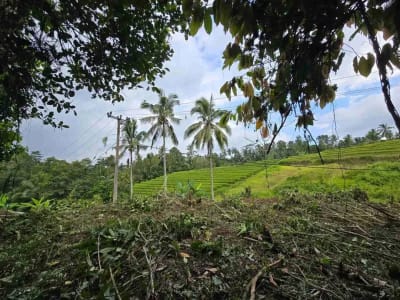 tanah kebun sangat murah dengan view sawah, gunung dan los sungai di tabanan bali - Thumbnail 5