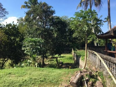 Di jual Tanah luas 191 are / 1 Hektare 91 are Lokasi dekat dengan pantai Klecung, Selemadeg, Tabanan Bali - Thumbnail 5