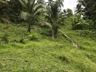 jual tanah kebun murah harga 100 ribu / meter di selemadeg tabanan bali. - Thumbnail 1