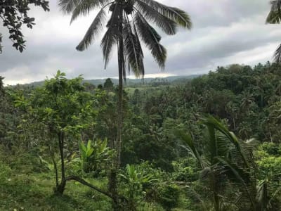 jual tanah kebun murah harga 100 ribu / meter di selemadeg tabanan bali. - Thumbnail 3