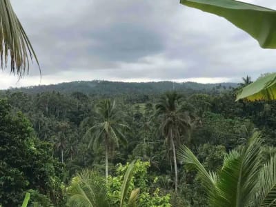 jual tanah kebun murah harga 100 ribu / meter di selemadeg tabanan bali. - Thumbnail 4