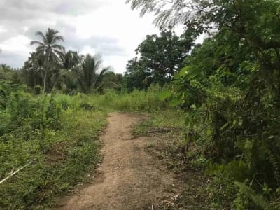 jual tanah kebun murah harga 100 ribu / meter di selemadeg tabanan bali. - Thumbnail 10