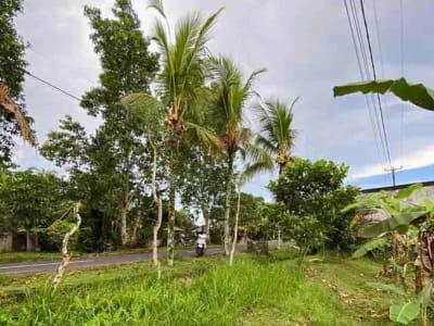 DIJUAL TANAH STRATEGIS – MEGATI, SELEMADEG, TABANAN BALI - Thumbnail 3