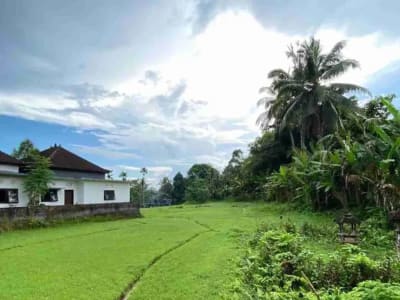 DIJUAL TANAH STRATEGIS – MEGATI, SELEMADEG, TABANAN BALI - Thumbnail 4