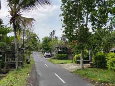 DIJUAL TANAH STRATEGIS – MEGATI, SELEMADEG, TABANAN BALI - Thumbnail 2