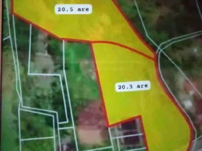 DIJUAL TANAH STRATEGIS – MEGATI, SELEMADEG, TABANAN BALI - Thumbnail 9