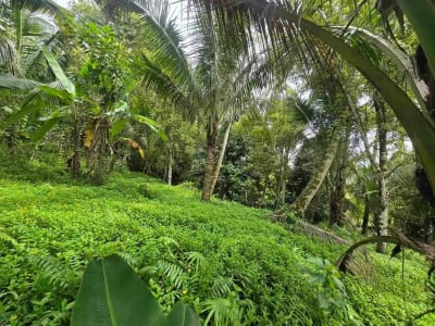 Dijual tanah view sawah cantik di kawasan villa di bali - Thumbnail 6