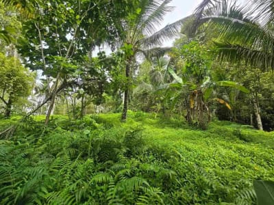 Dijual tanah view sawah cantik di kawasan villa di bali - Thumbnail 5