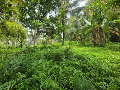 Dijual tanah view sawah cantik di kawasan villa di bali - Thumbnail 9