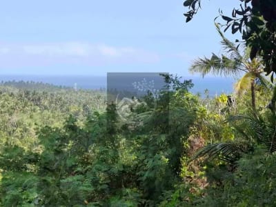 Dijual tanah strategis di kawasan wisata dekat akses jalan denpasar gilimanuk dengan view laut dan los sungai jernir berbatu - Thumbnail 1