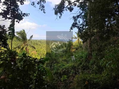 Dijual tanah strategis di kawasan wisata dekat akses jalan denpasar gilimanuk dengan view laut dan los sungai jernir berbatu - Thumbnail 3