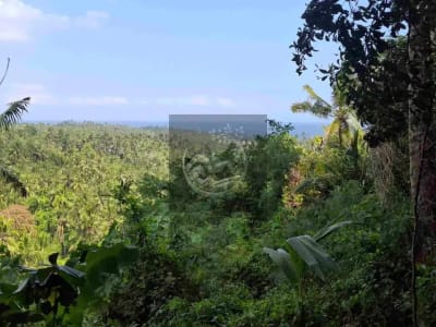 Dijual tanah strategis di kawasan wisata dekat akses jalan denpasar gilimanuk dengan view laut dan los sungai jernir berbatu - Thumbnail 2