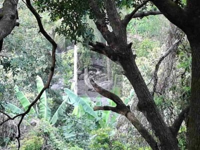 Dijual tanah strategis di kawasan wisata dekat akses jalan denpasar gilimanuk dengan view laut dan los sungai jernir berbatu - Thumbnail 9