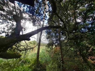 Dijual tanah strategis di kawasan wisata dekat akses jalan denpasar gilimanuk dengan view laut dan los sungai jernir berbatu - Thumbnail 7