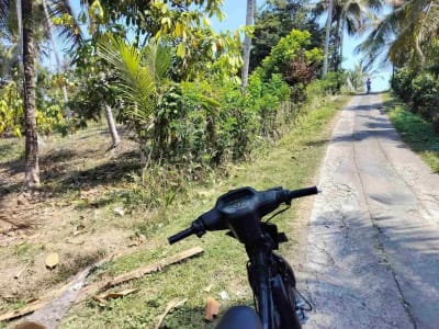 jual tanah 98 are harga 20 jt/ are.lok bonian selemadeg barat - Thumbnail 7