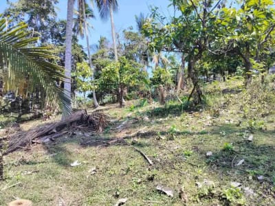 jual tanah 98 are harga 20 jt/ are.lok bonian selemadeg barat - Thumbnail 3