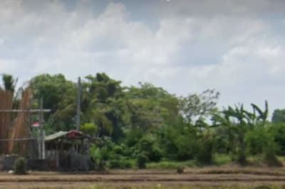 Tanah View Sawah 210m2 di Pantai Kedungu Tabanan - Thumbnail 2